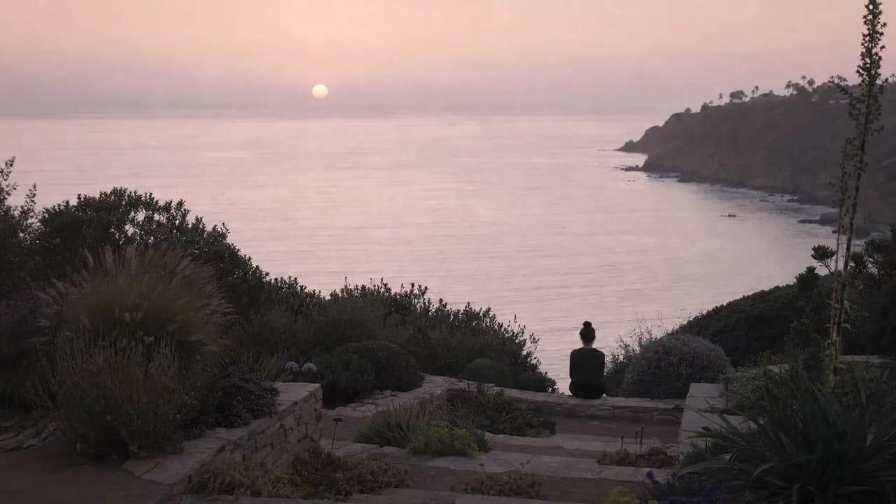 A person sitting on a stone step of a terraced coastal garden at dusk, back to camera, looking over a still bay and a pale sun.