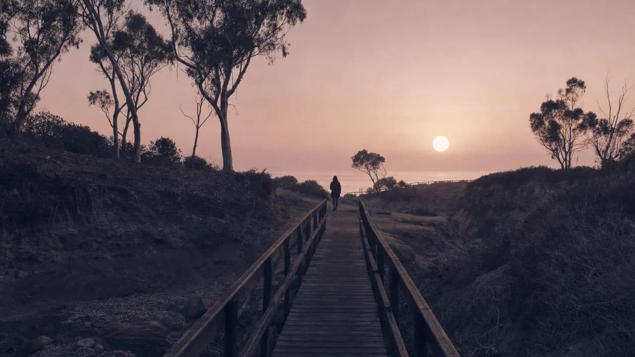 A narrow wooden boardwalk through dark coastal scrub at dusk, one small figure walking away toward the ocean, eucalyptus and a pale sun beyond.